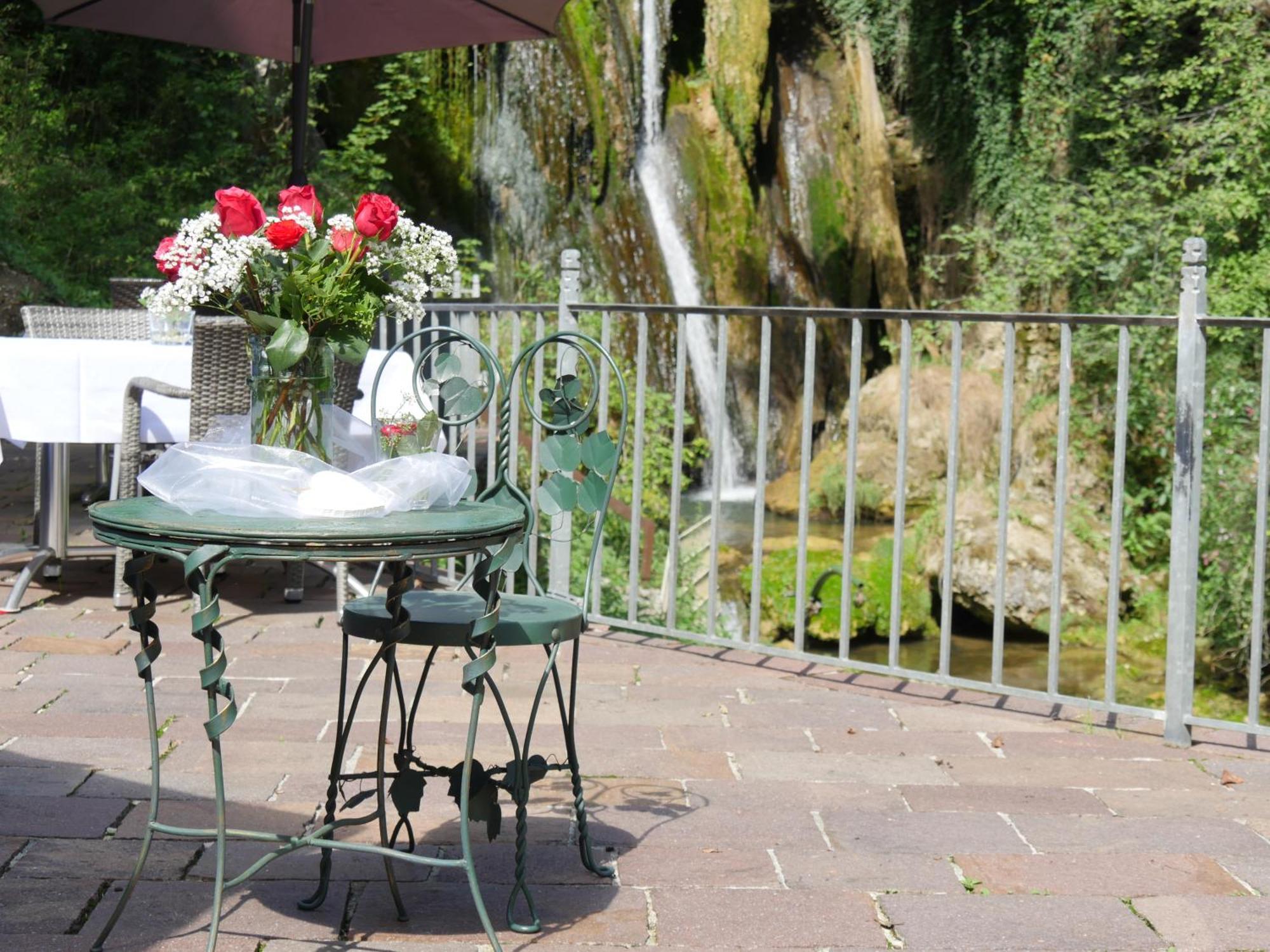Hotel-Restaurant Bibermuehle Gmbh Tengen Εξωτερικό φωτογραφία